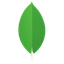 mongodb